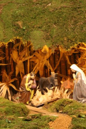 presepio palmeira